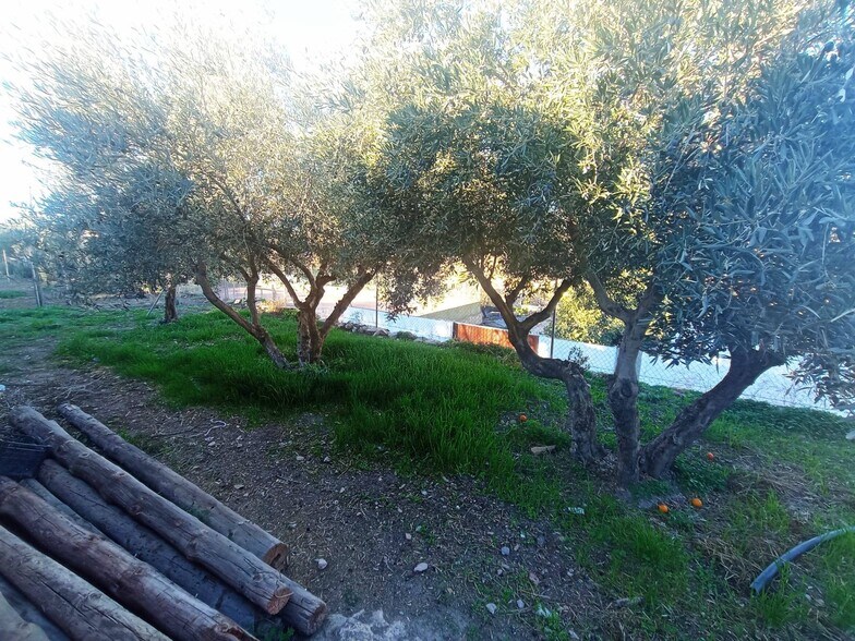 del Cerrillo Páez, 5, Dalías, Almería à vendre - Photo du bâtiment - Image 3 de 10