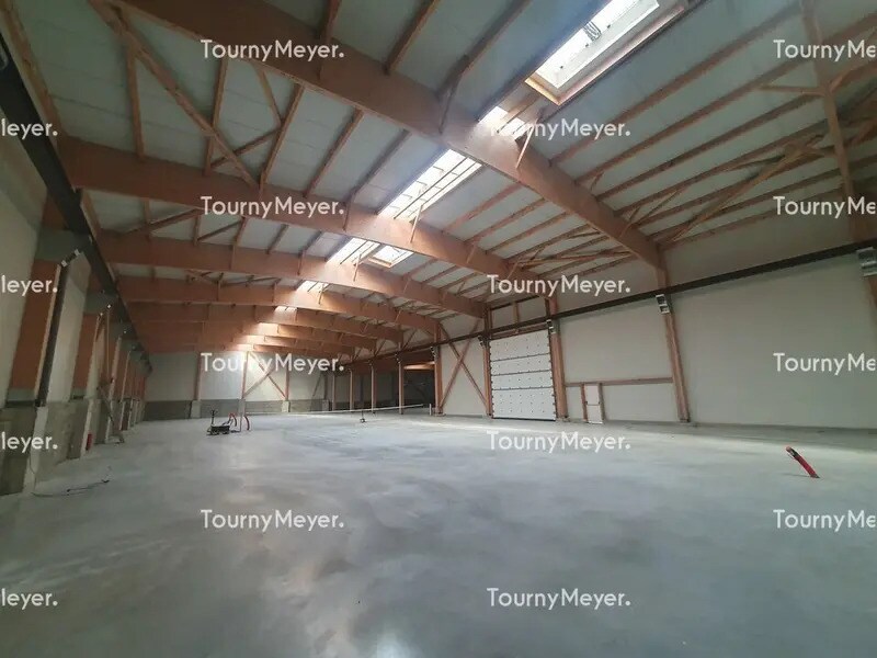 Flex in Bassens for sale Interior Photo- Image 1 of 8