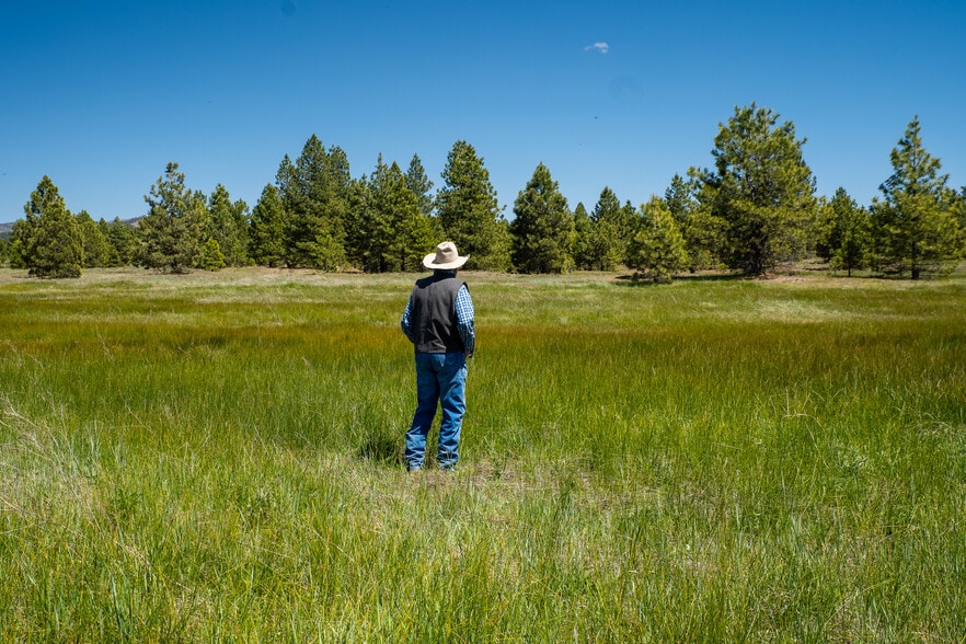 000 000 Delwood Street, Westwood, CA à vendre - Photo du bâtiment - Image 2 de 26