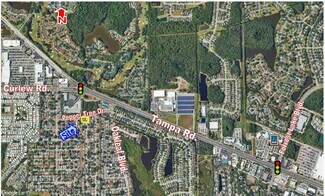 Plus de détails pour 1801-1811 Peppertree Dr, Oldsmar, FL - Bureau à vendre