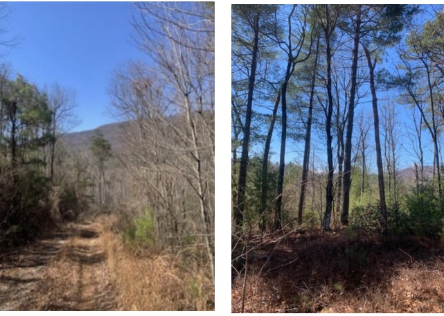 0 Main St, Clayton, GA for sale - Other - Image 3 of 4