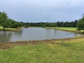 More details for Highway 10 & FM 1136, Orange, TX - Land for Sale