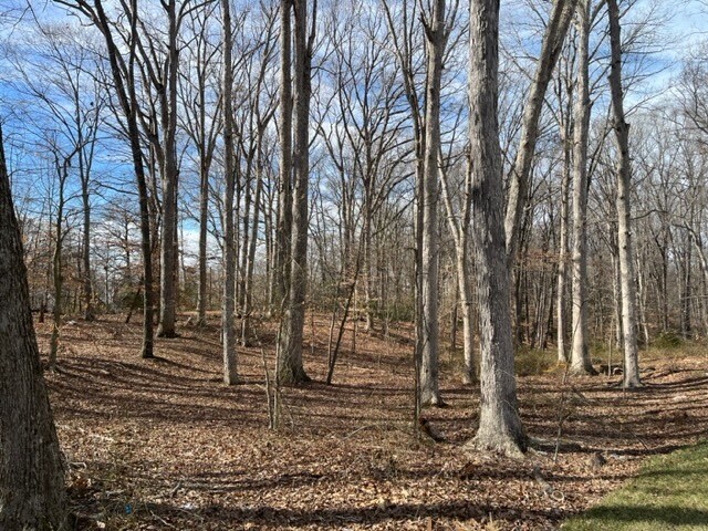 Farragut Drive, Bryans Road, MD for sale - Interior Photo - Image 2 of 4