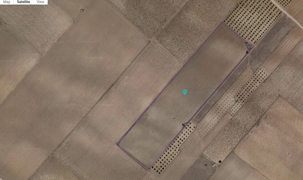 Land in Yecla, Murcia for sale - Primary Photo - Image 1 of 2