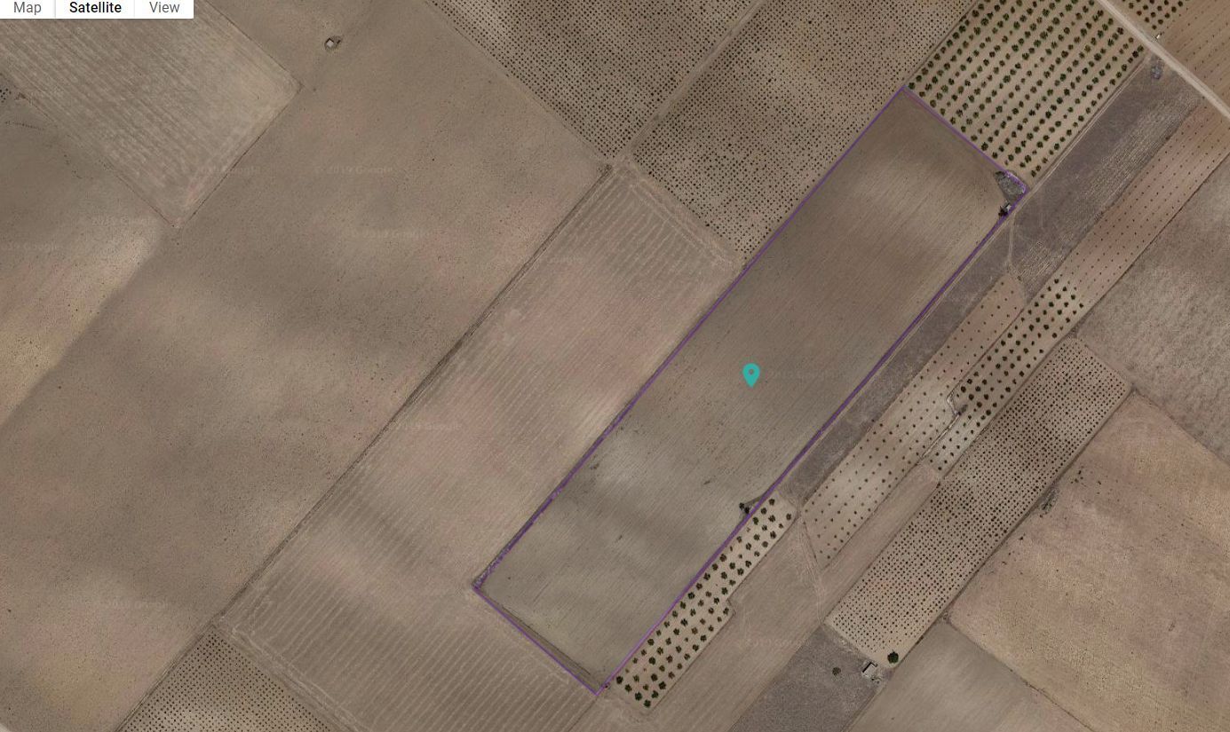 Land in Yecla, Murcia for sale Primary Photo- Image 1 of 3