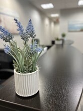 19824 W Catawba Ave, Cornelius, NC à louer Photo intérieure- Image 1 de 14