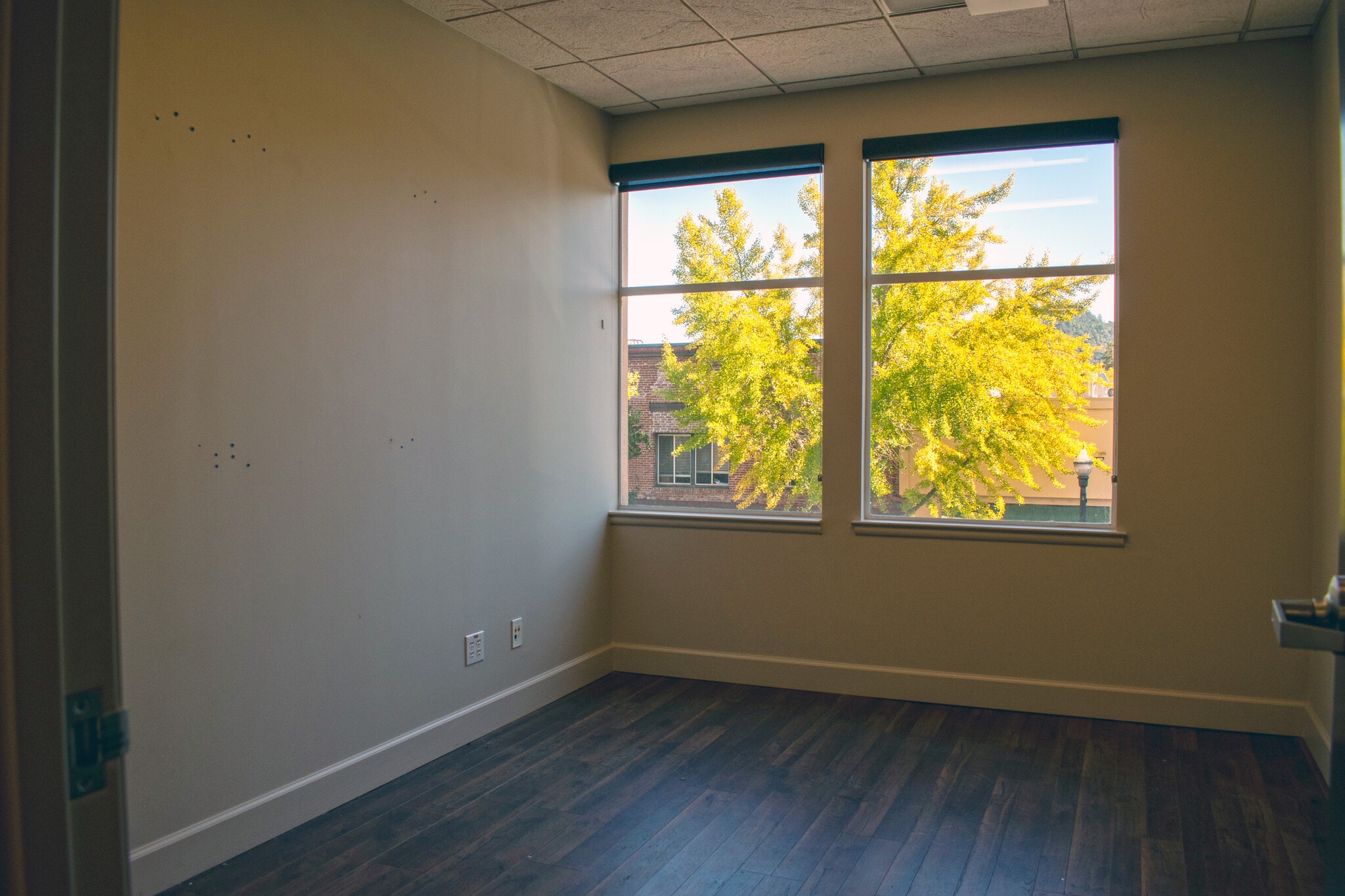 375 Healdsburg Ave, Healdsburg, CA for lease Interior Photo- Image 1 of 4