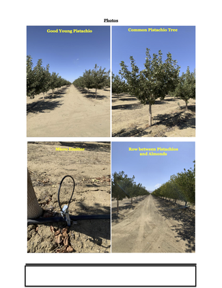 Plus de détails pour 45551 Panoche Rd, Firebaugh, CA - Terrain à vendre