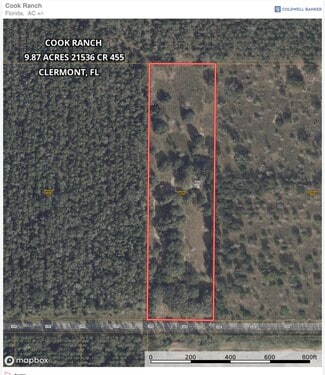 More details for 21536 County 455 rd, Clermont, FL - Land for Sale