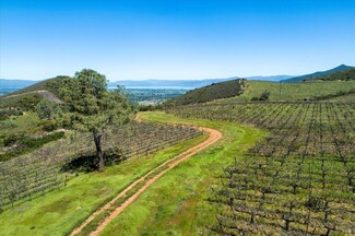 Plus de détails pour 7590 CA-29 Hwy, Kelseyville, CA - Terrain à vendre