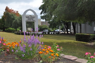 Sandy Springs Professional Building - Épicerie