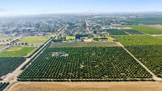 Plus de détails pour 1435 Palm dr, Exeter, CA - Terrain à vendre