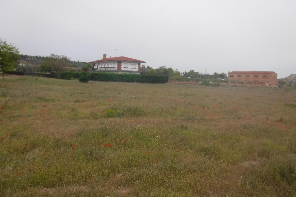 Land in Tàrrega, Lérida for sale Primary Photo- Image 1 of 6