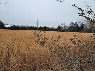 Plus de détails pour 1700 Four Locust Hwy, Keysville, VA - Terrain à vendre