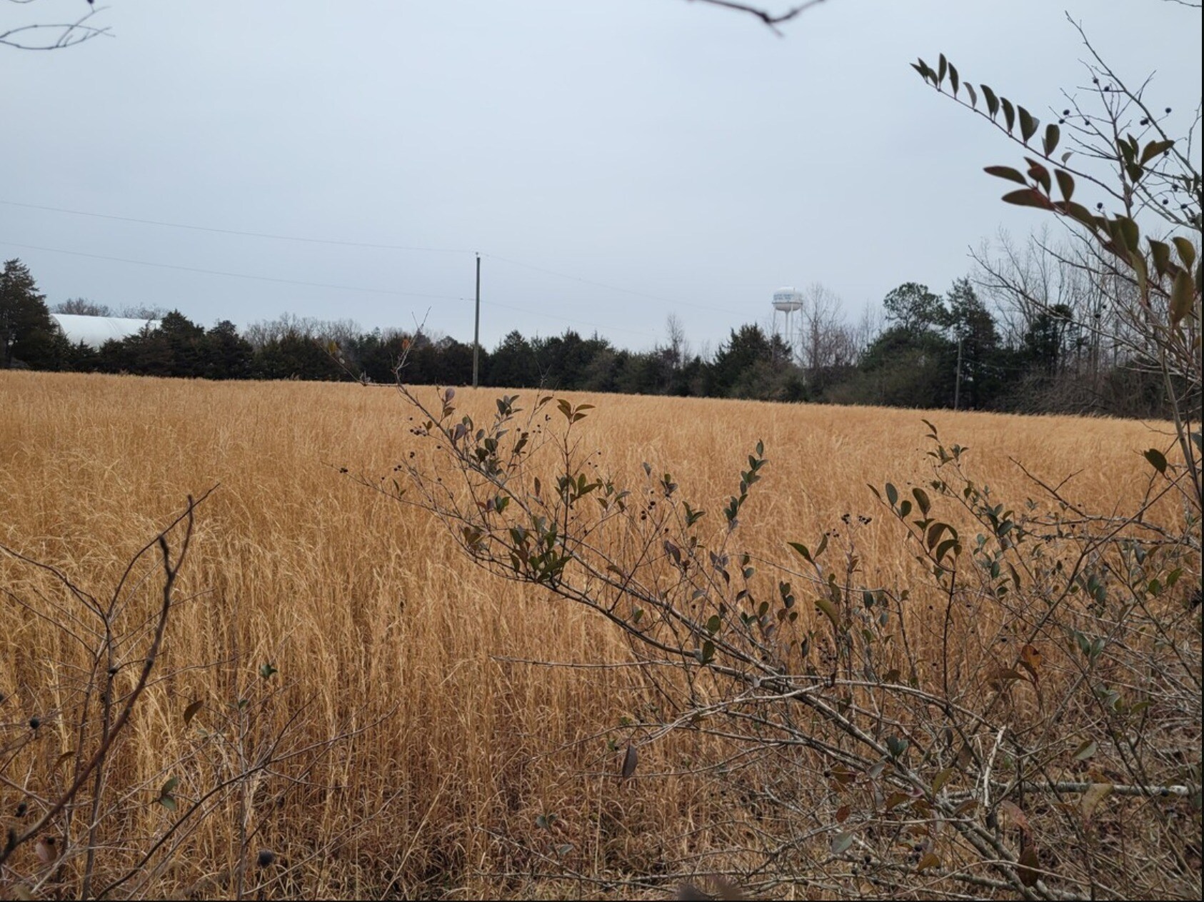 1700 Four Locust Hwy, Keysville, VA for sale Primary Photo- Image 1 of 2