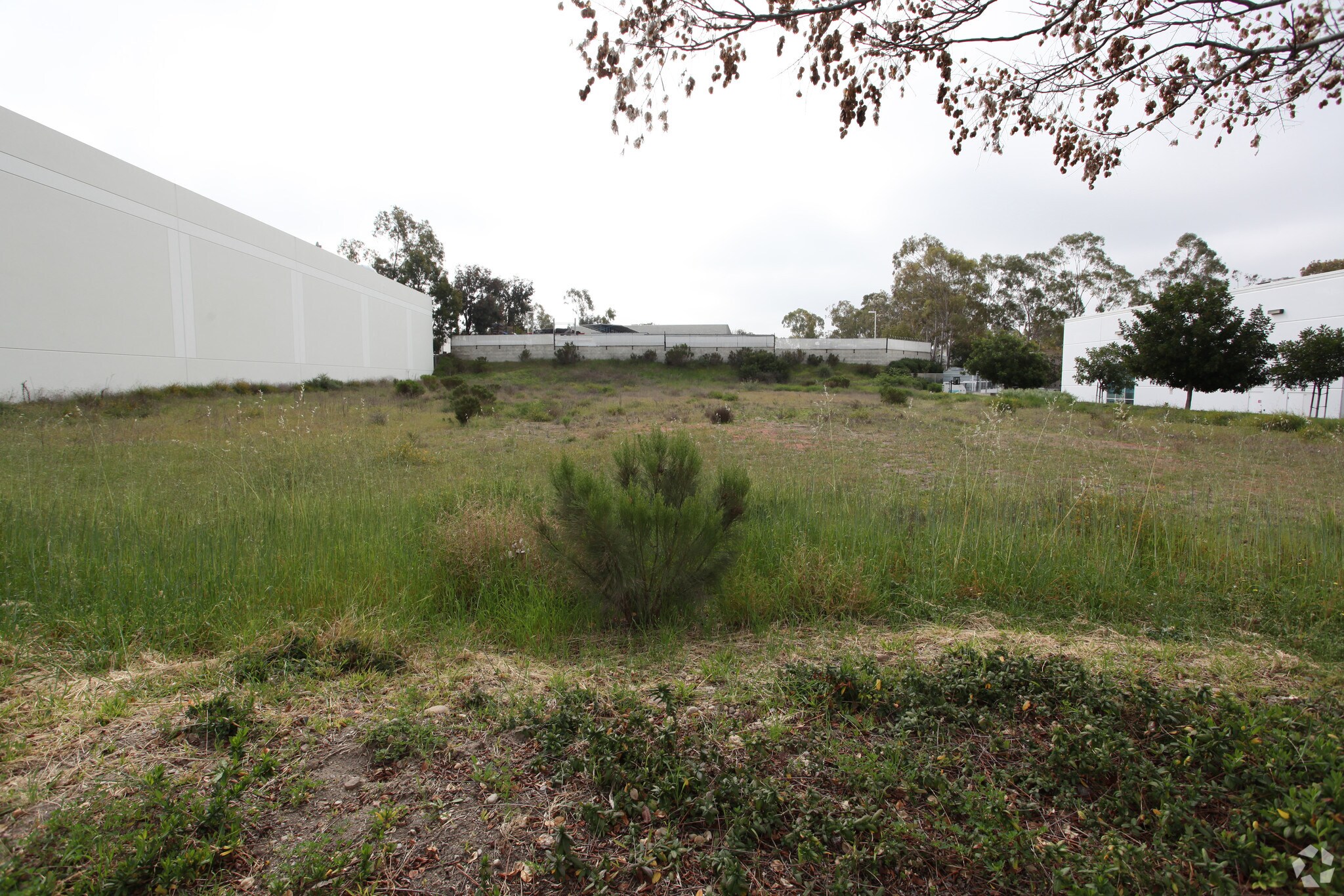 13635 Stowe Dr, Poway, CA for lease Building Photo- Image 1 of 4