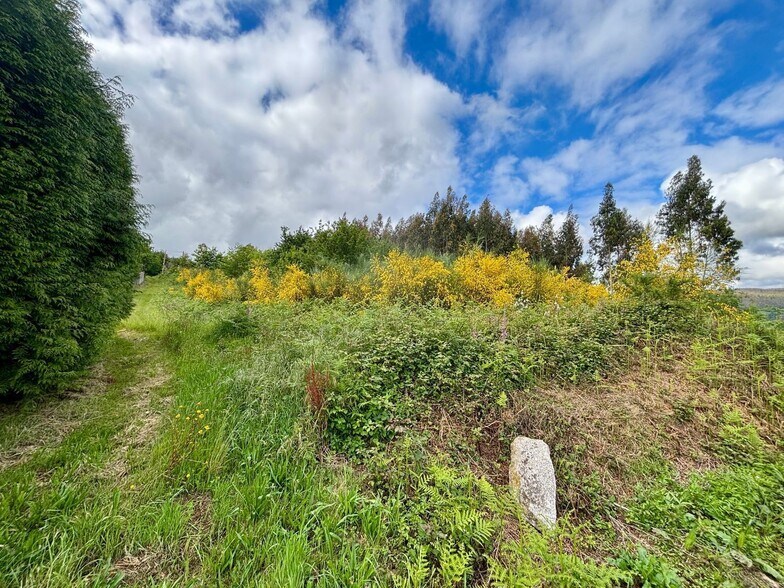 de Arriba, Cerceda, La Coruna à vendre - Plan de site - Image 2 de 10