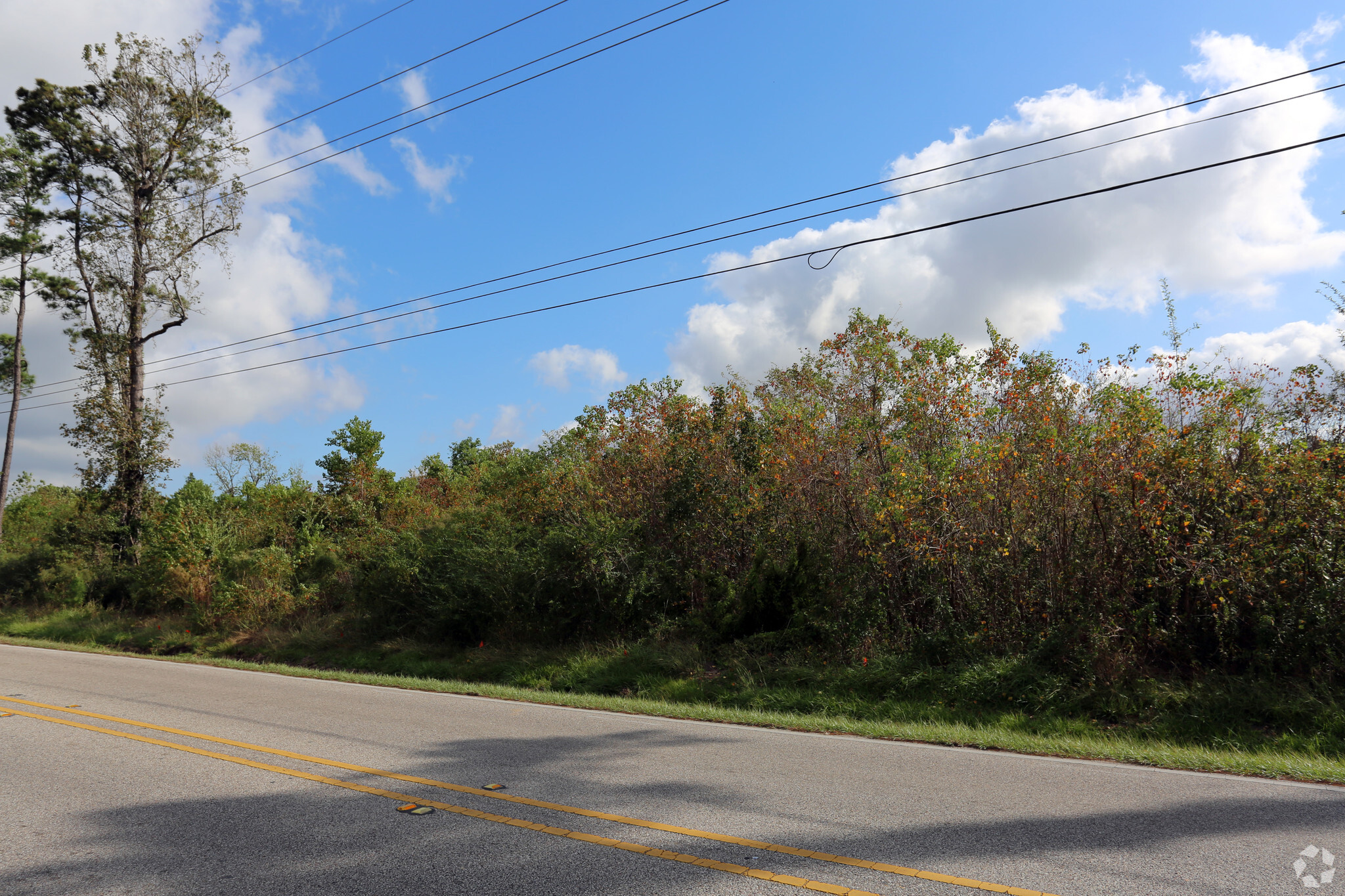 FM 1960 & Lee rd, Humble, TX for sale Primary Photo- Image 1 of 1