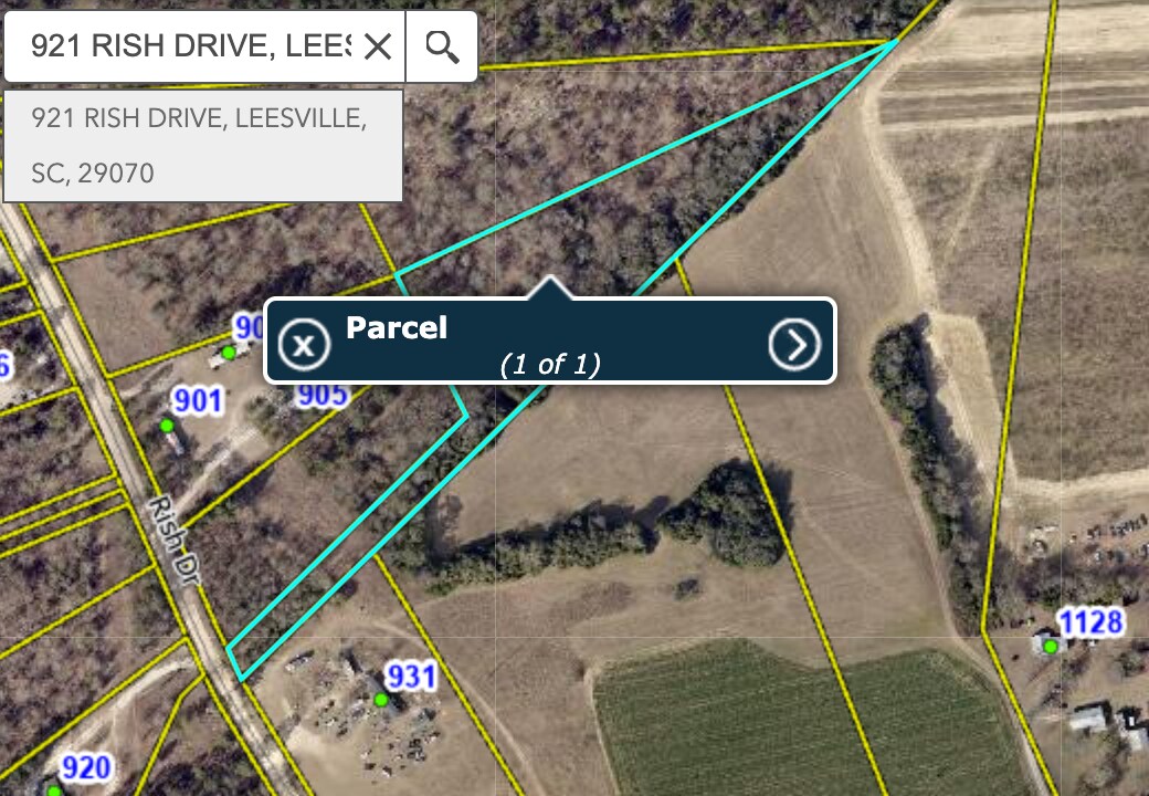 921 Rish Ave, Leesville, SC for sale Primary Photo- Image 1 of 2