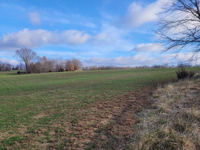 Bales Rd. (55.3+/- Acres), Middletown, MO à vendre - Autre - Image 2 de 41