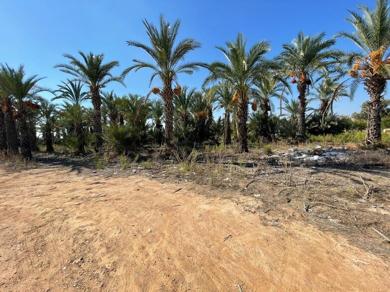Terrain dans Crevillent, Alicante à vendre - Photo principale - Image 2 de 5