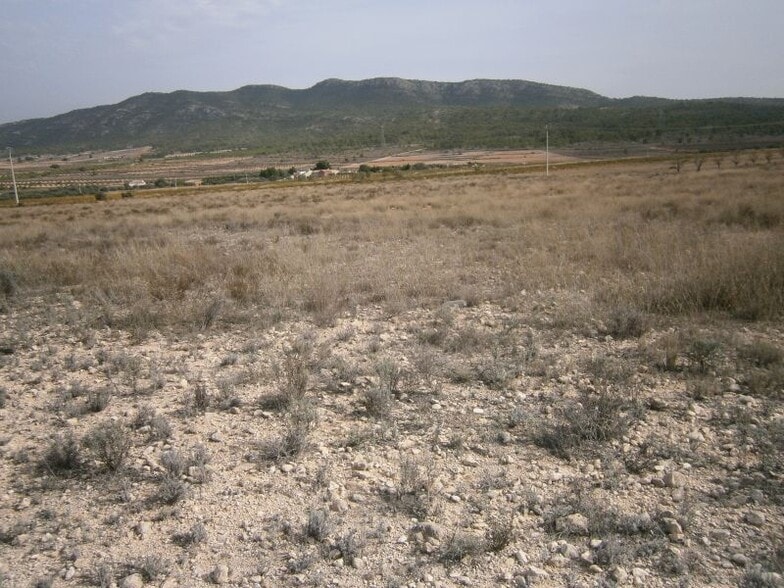Land in Salinas, Alicante for sale - Site Plan - Image 2 of 6