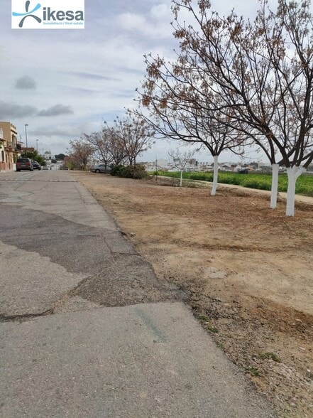 Land in Burguillos, Sevilla for sale - Building Photo - Image 2 of 21