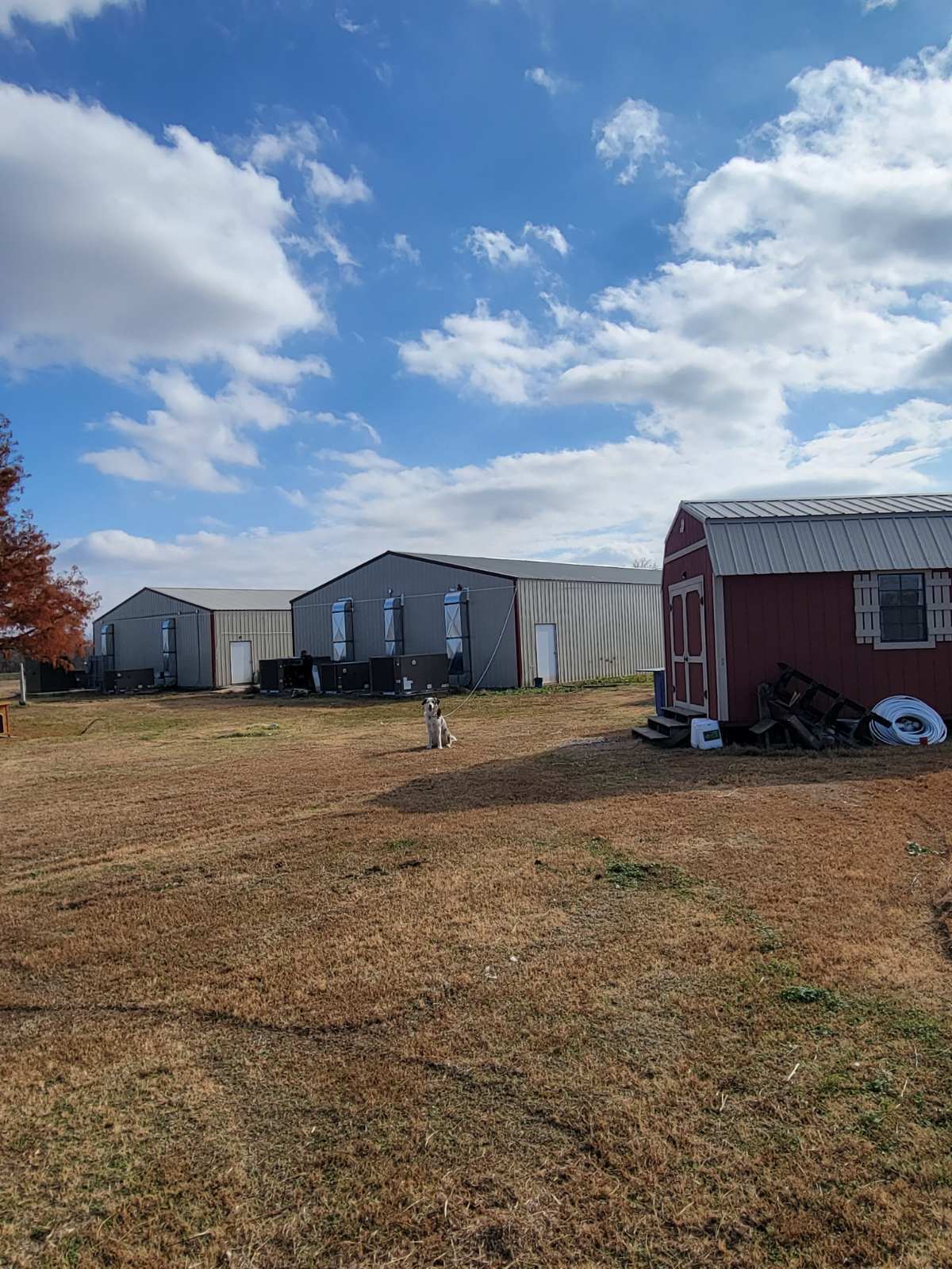 33180 OK-59, Wayne, OK for sale Primary Photo- Image 1 of 20