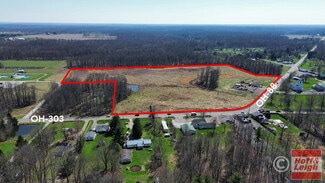 More details for 8972 OH-88, Windham, OH - Land for Sale