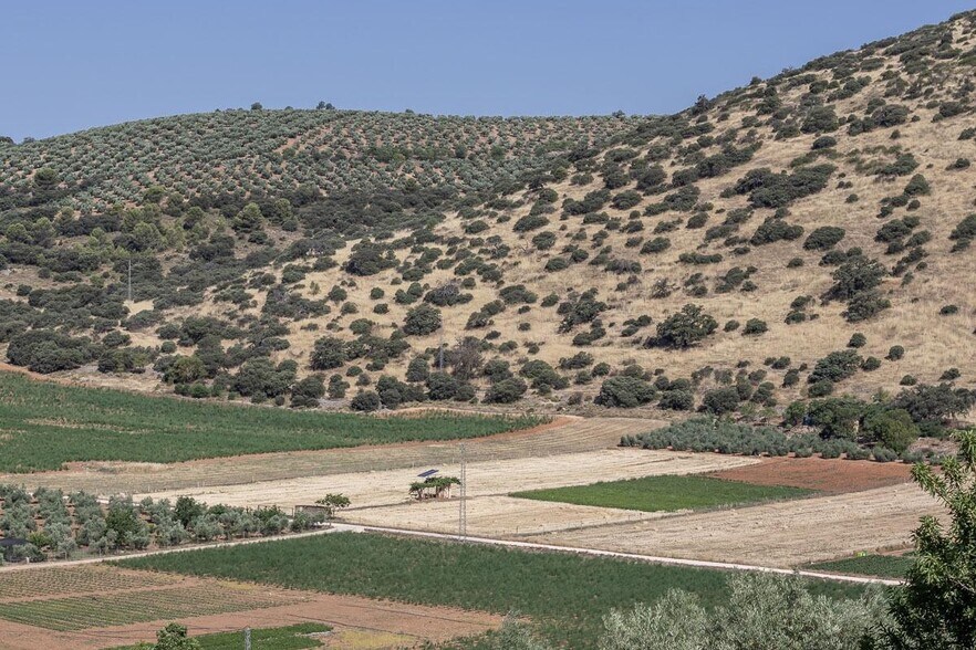 Land in Montefrío, Granada for sale - Building Photo - Image 3 of 23