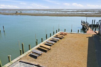 17 Atlantic Ave, Wachapreague, VA - Aérien  Vue de la carte - Image1