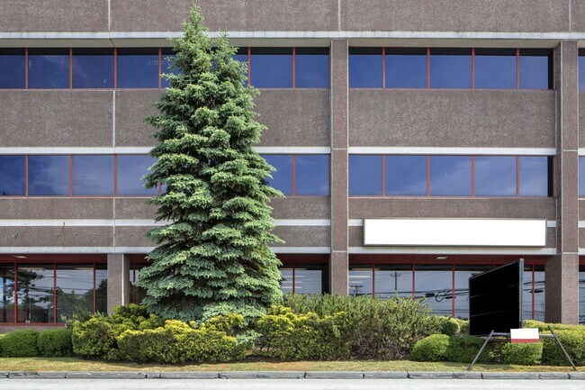 Plus de détails pour 780 Windmill Rd, Dartmouth, NS - Bureau, Bureau/Commerce de détail à louer