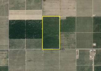 More details for 1 Kamm -1, Caruthers, CA - Land for Sale