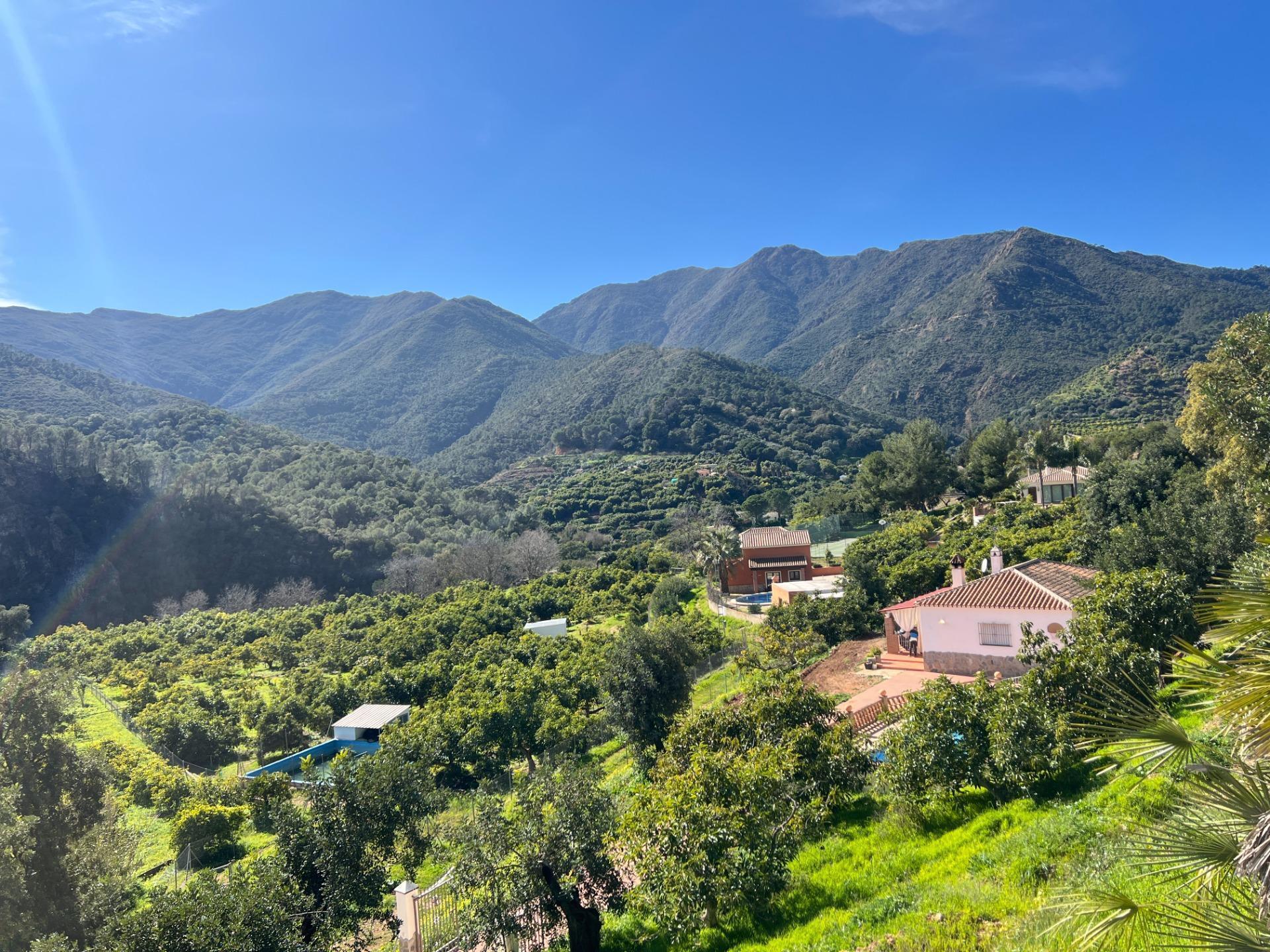 Polígono 15 Paraje, 164, Coín, Málaga à vendre Photo du bâtiment- Image 1 de 45