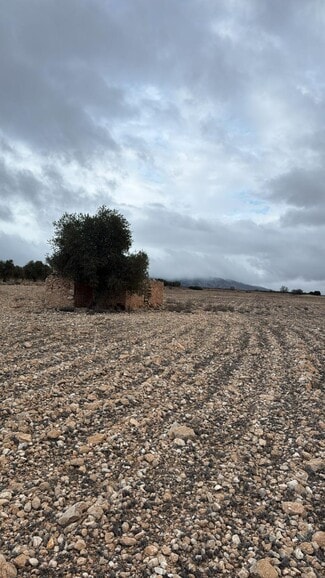 More details for Land for Sale