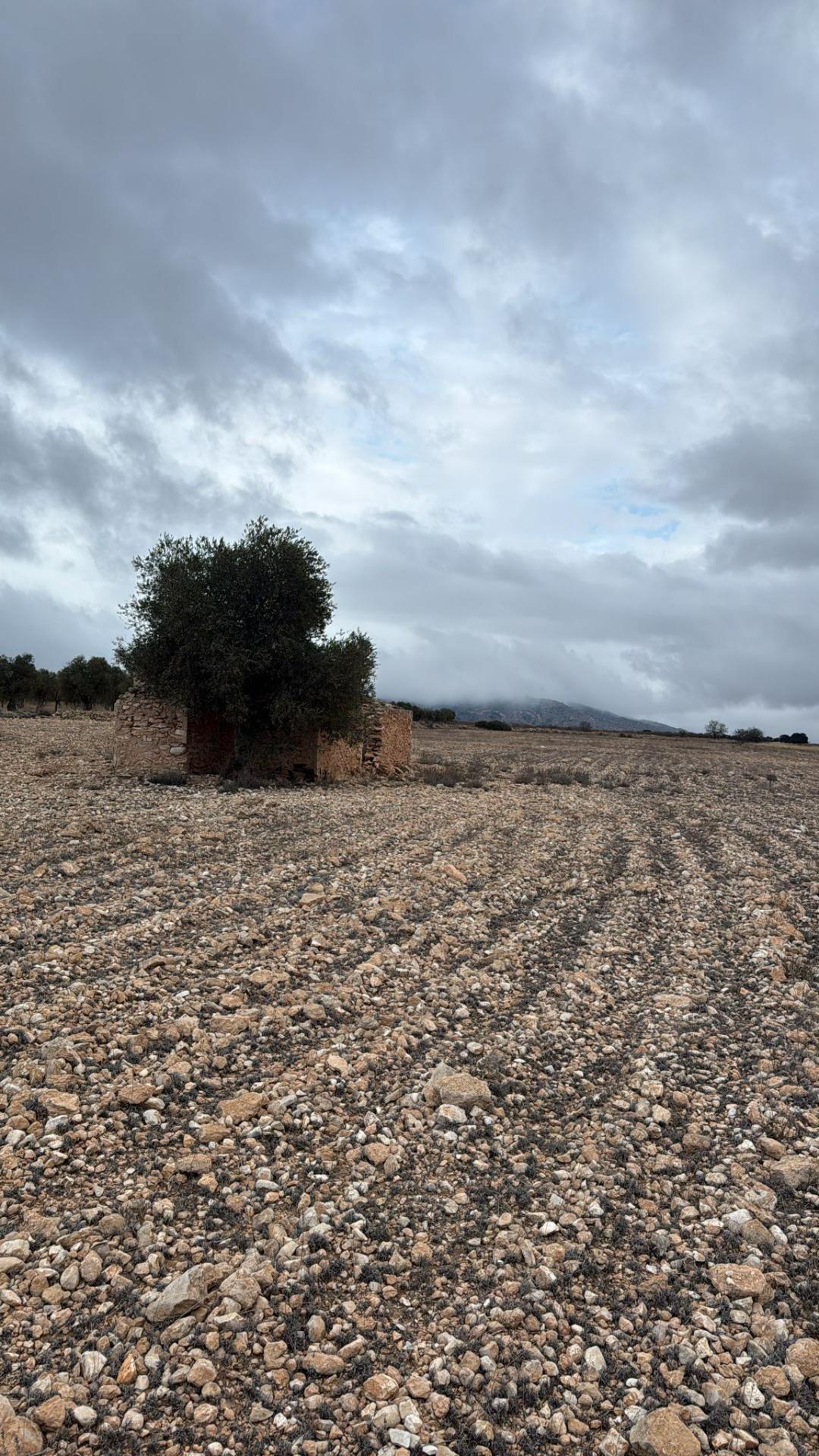Land in Yecla, Murcia for sale Building Photo- Image 1 of 8