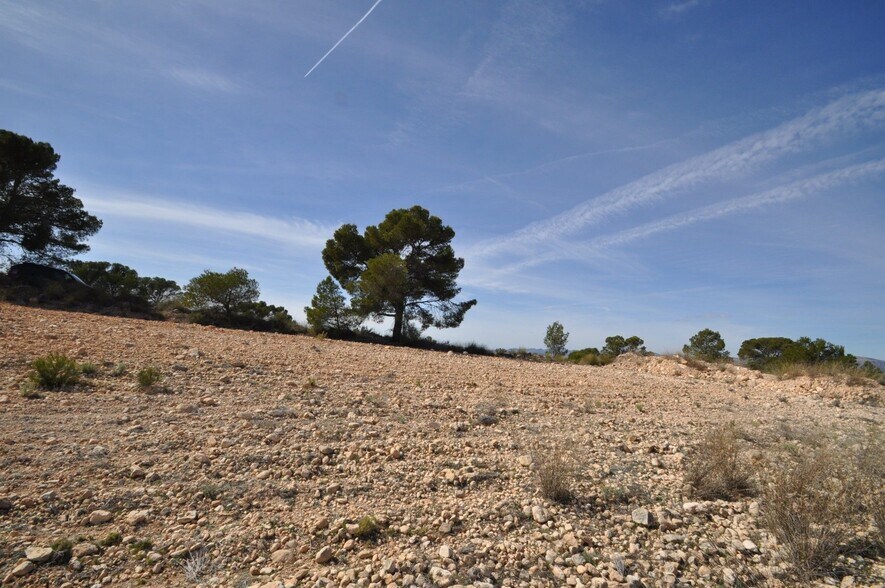 Terrain dans Jumilla, Murcia à vendre - Plan de site - Image 2 de 23