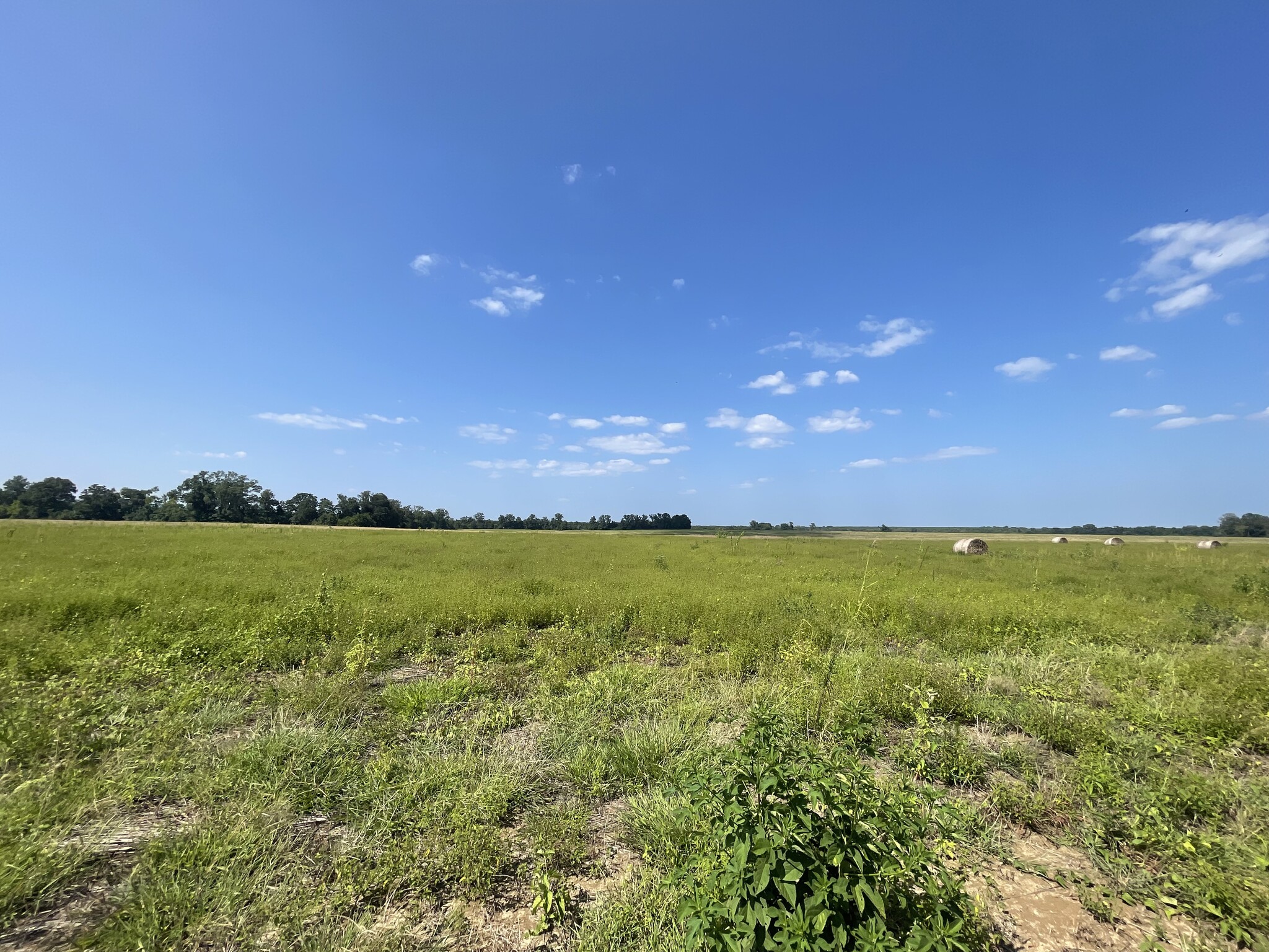 17192 Co 21 rd, Marion Junction, AL for sale Building Photo- Image 1 of 17