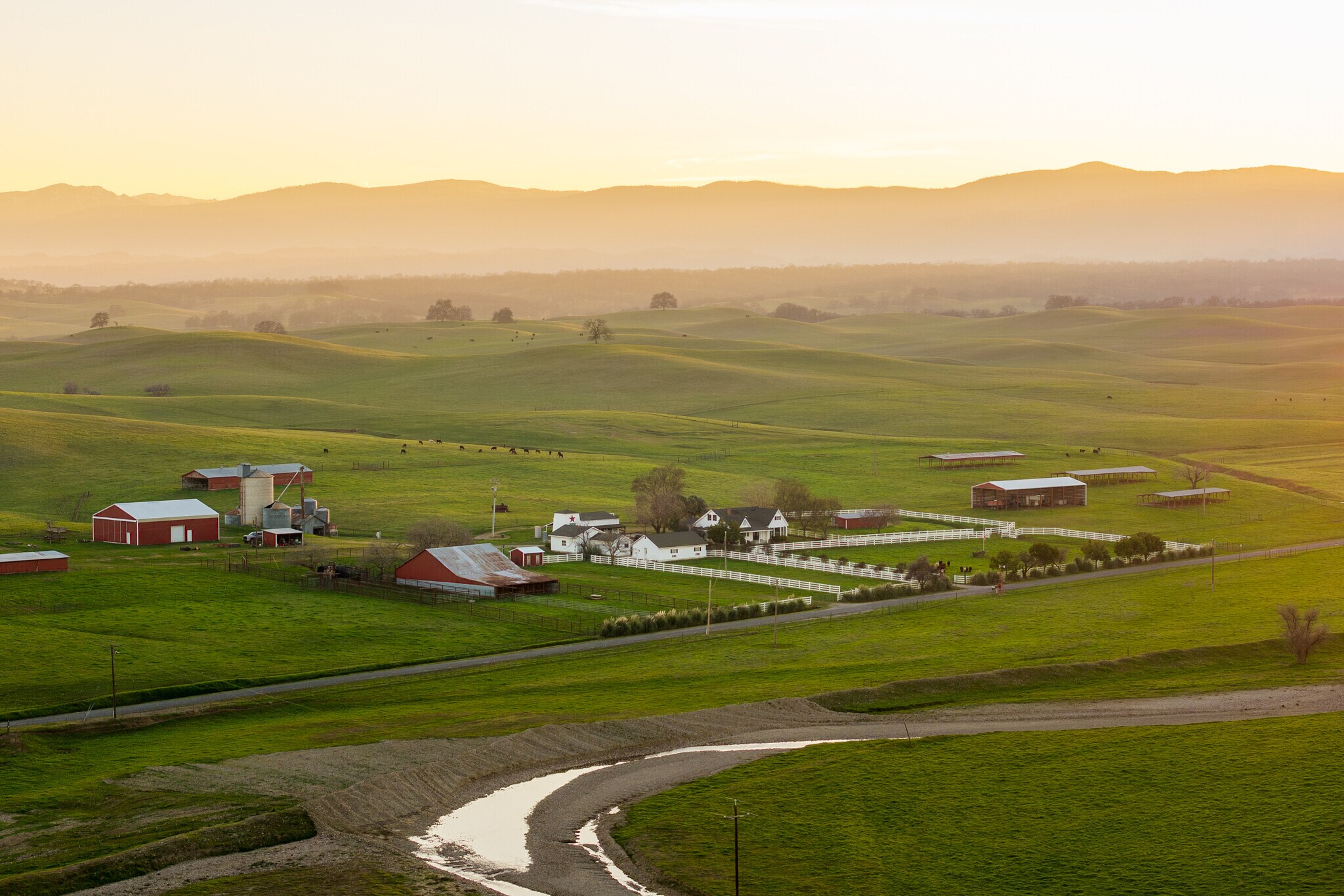 17775 Long Hollow Rd, Corning, CA for sale Primary Photo- Image 1 of 44