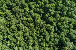 Plus de détails pour 0 US 49 hwy, Hattiesburg, MS - Terrain à vendre