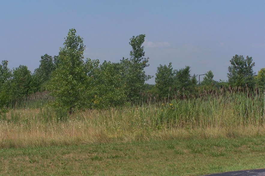 North St & Orchard Drive, Park Forest, IL for sale - Building Photo - Image 1 of 2