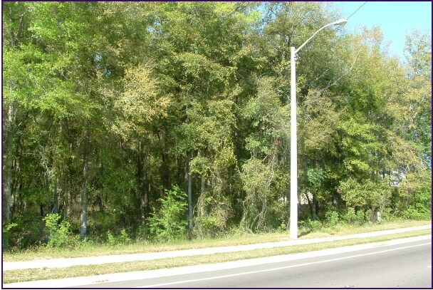 113 NW 145th Ter, Jonesville, FL à vendre - Photo du bâtiment - Image 3 de 6