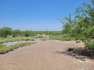 Plus de détails pour 1000 HWY 255 hwy, Laredo, TX - Terrain à vendre