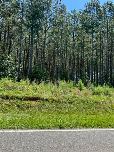 01 Crowders Mountain Rd, Kings Mountain, NC 28086 Hwy, Bessemer City, NC for sale - Building Photo - Image 2 of 5