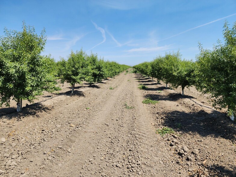 0 0 Cranmore Rd., Robbins, CA for sale - Primary Photo - Image 1 of 7