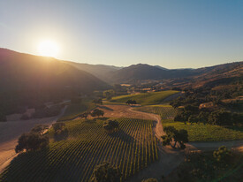 Bernardus Vineyard - Vignoble