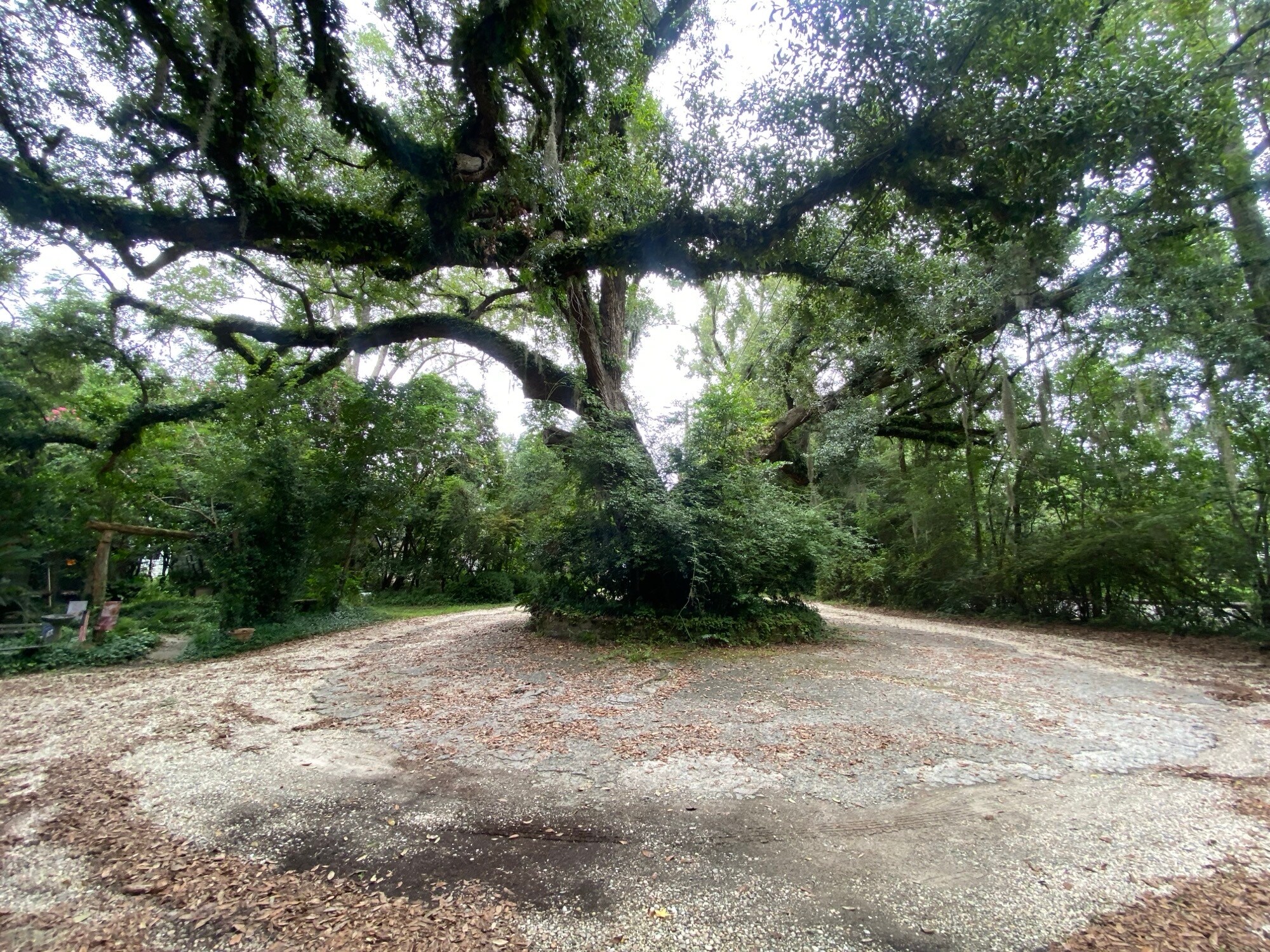 306 E Doty Ave, Summerville, SC for sale Primary Photo- Image 1 of 13