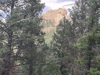 More details for 1176 Trail Creek Rd, Lake George, CO - Land for Sale