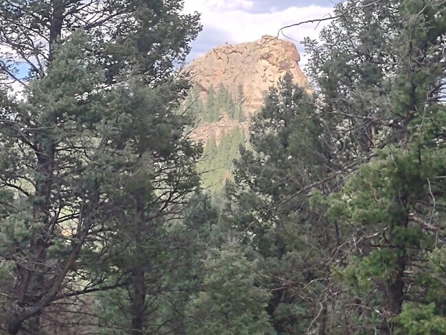 More details for 1176 Trail Creek Rd, Lake George, CO - Land for Sale