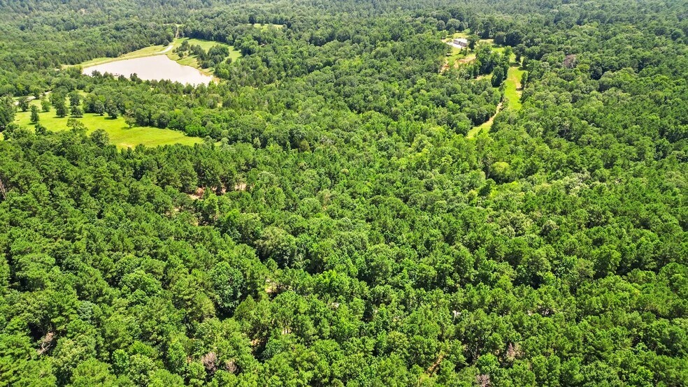 268 Cedar Valley Rd, Coldspring, TX à vendre - Aérien - Image 3 de 4